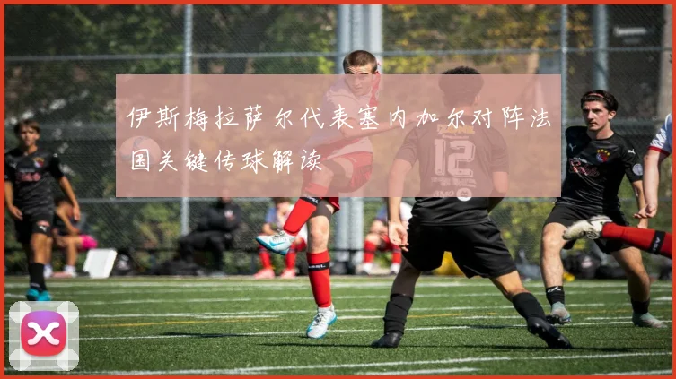 伊斯梅拉萨尔代表塞内加尔对阵法国关键传球解读