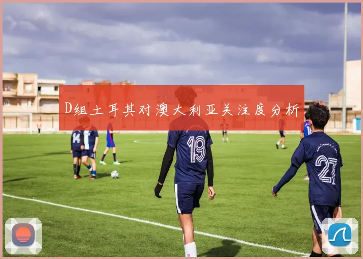 D组土耳其对澳大利亚关注度分析